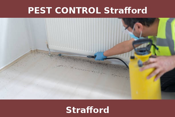 PEST CONTROL Strafford